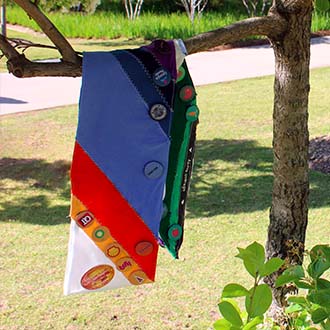 Color blocked fabric sash with various corporate logo pins attached, hanging from a tree limb
